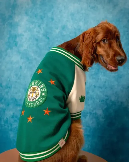 Stranger Things x maxbone Hawkins High Bomber