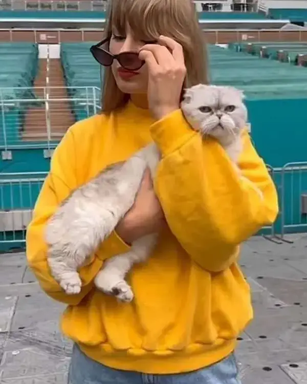 American Singer Taylor Swift Yellow Sweatshirt