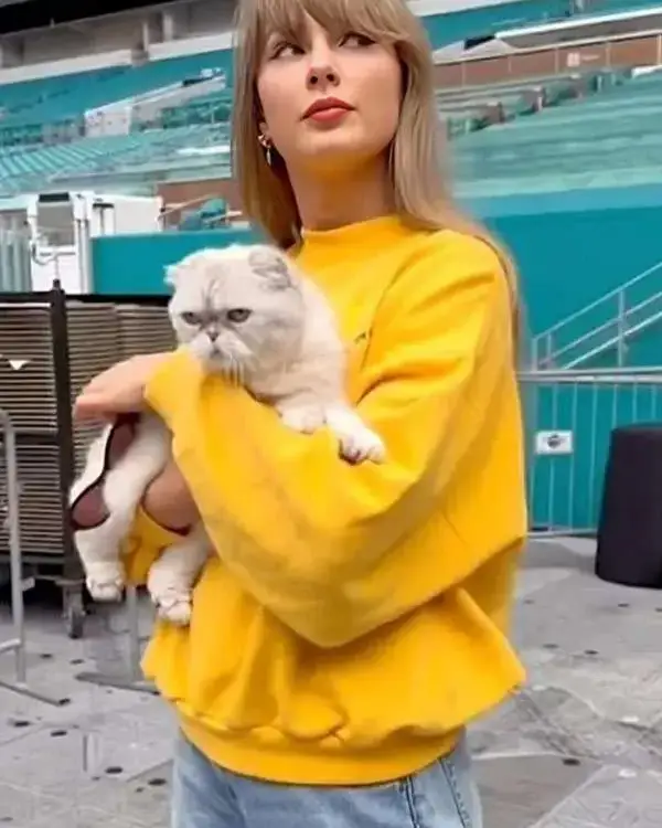 Shop Miami Eras Tour Taylor Swift Yellow Oversized Sweatshirt